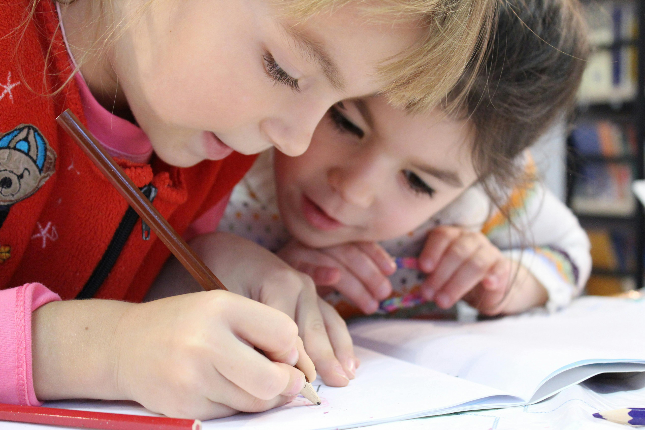 Students learning side by side